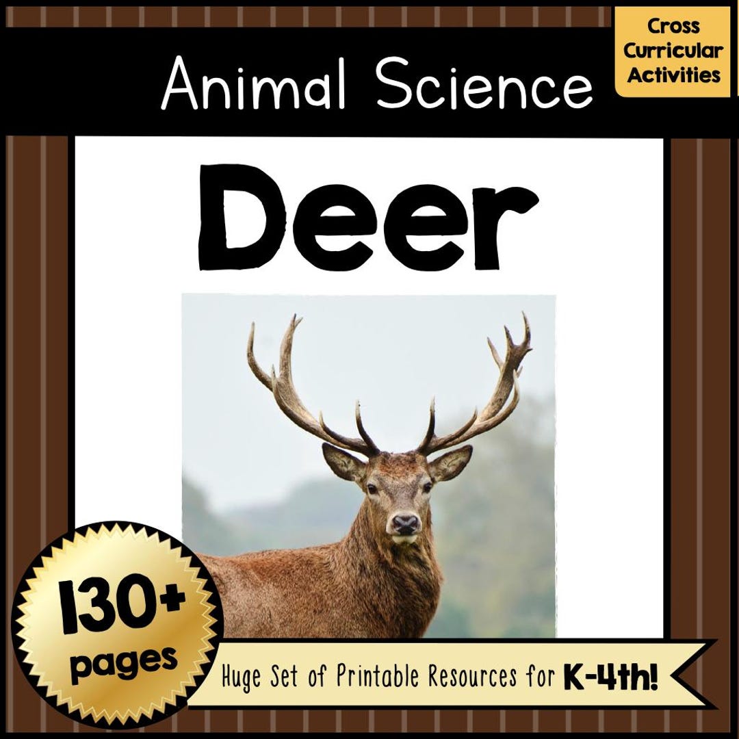 Learn All About Deer Printable, Animal Science Unit Study Pack, Arts 7 ...