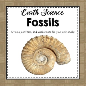 Fossil Activities | Earth Science Unit Study | Fossil Record and Timeline Projects | Paleontology Worksheets | Dinosaur Resources