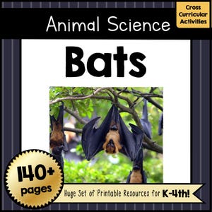 BATS Science Unit Animal Study PDF Reading Comprehension Worksheets & Crafts for Pre-K–4th Grade No Prep Classroom Activities Printable