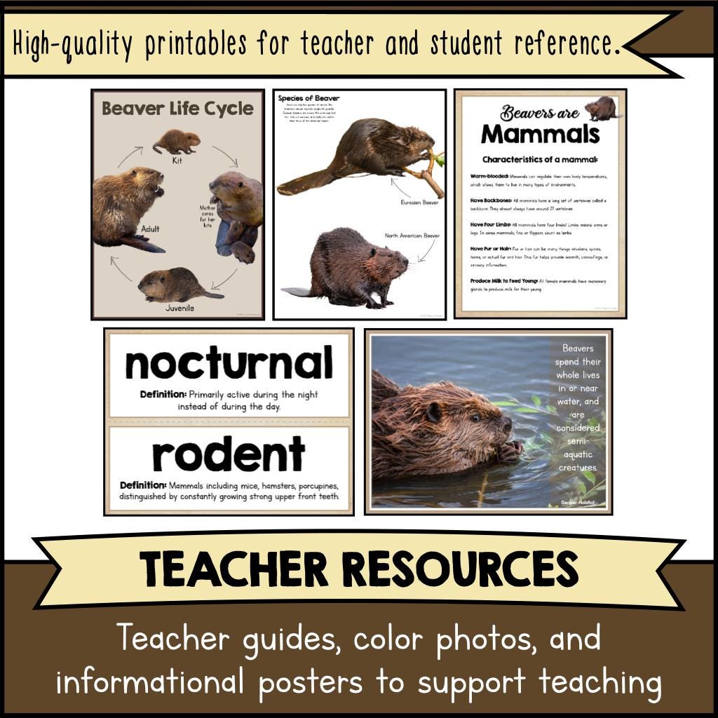 BEAVERS Science Study Unit Writing, Learning & Reading Animal ...