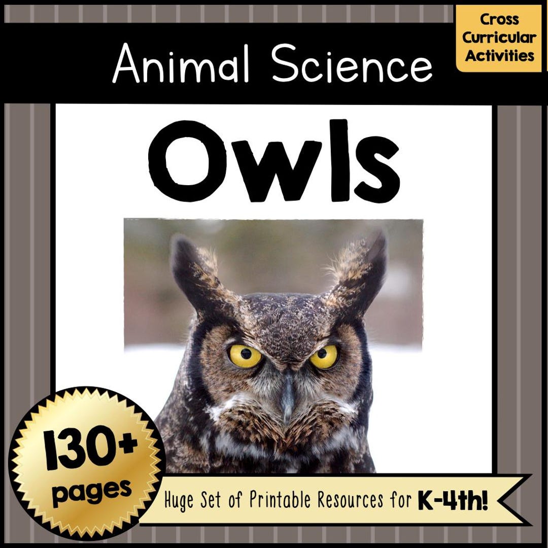 Printable All About OWLS Animal Science Unit PDF in 130+ Pages | Owl ...