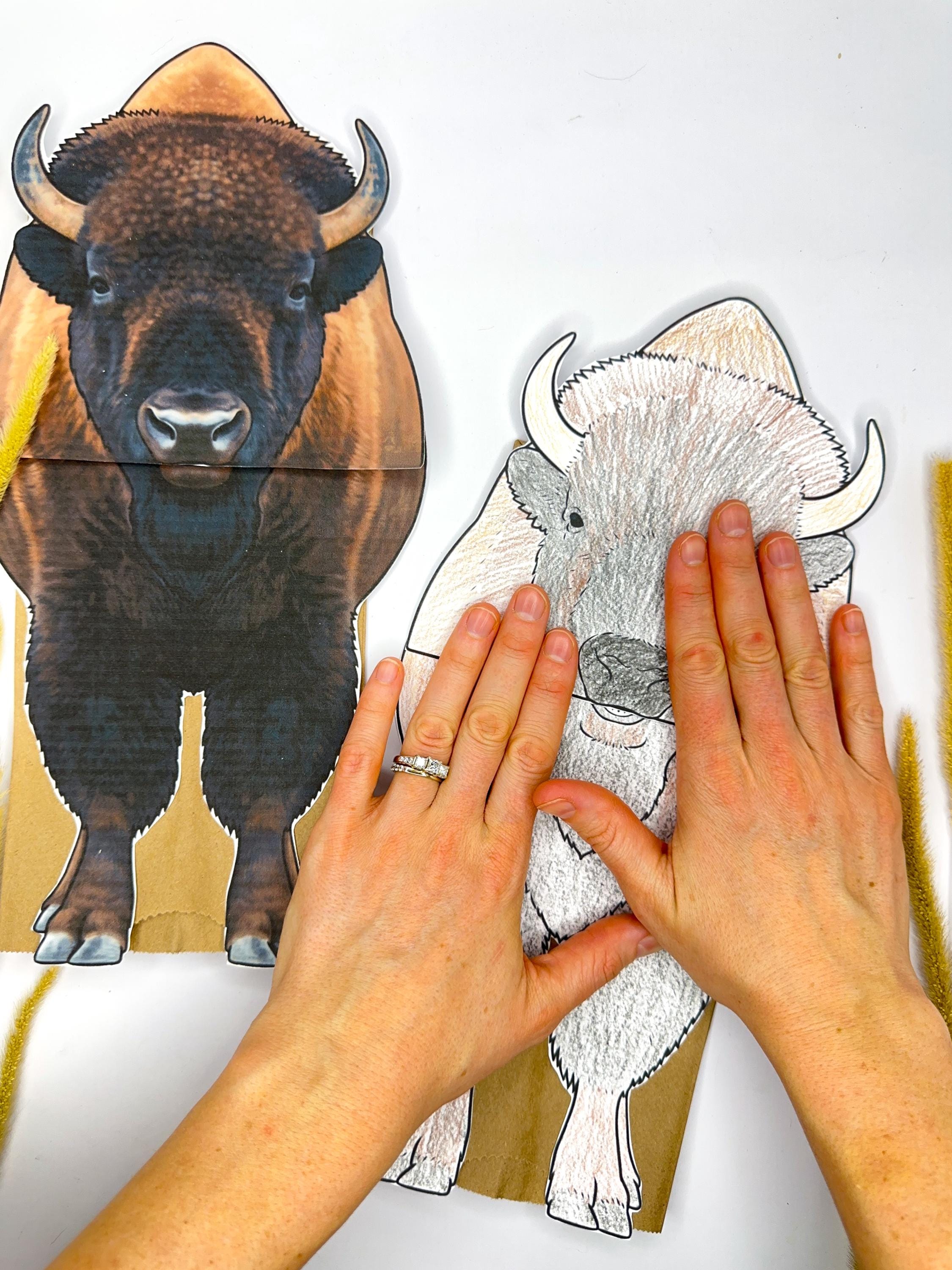 Bison Puppet Bison Puppet- Bison | Paper Bag Puppet | Printable Craft | Bison ...