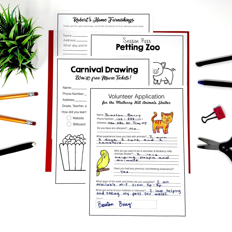 May include: A collection of printed paper forms including a Robert's Home Furnishings sheet, a Petting Zoo Season Pass, a Carnival Drawing entry form, and a filled-out Volunteer Application for the Mulberry Hill Animals Shelter with a cat and bird.