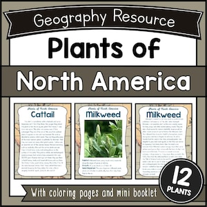Pode incluir: Um recurso de geografia intitulado "Plantas da América do Norte" com três cartões informativos. Os cartões apresentam texto e imagens de plantas de taboa e algodoeiro. O recurso inclui páginas para colorir e um mini-livro, com um total de 12 plantas.