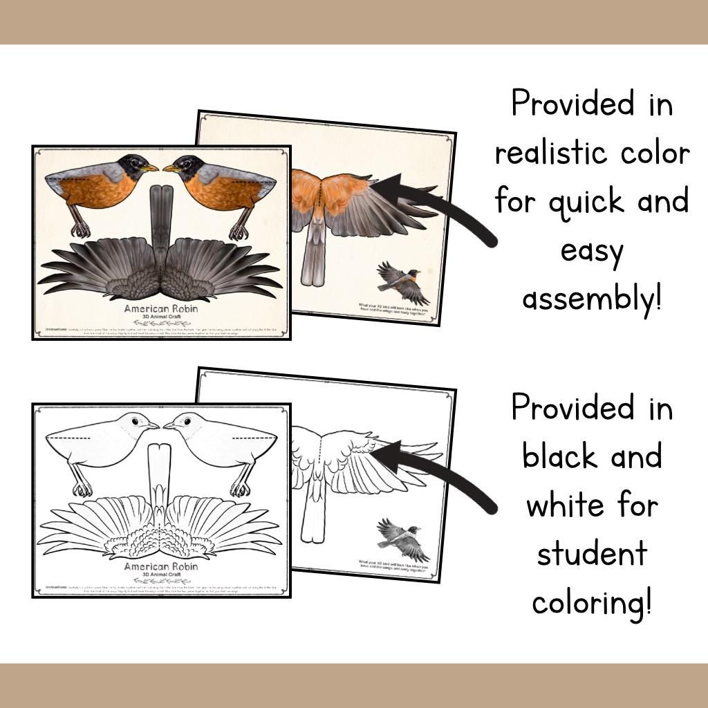 ROBIN 3D Paper Craft Template PDF | Printable DIY Hanging Bird Model ...