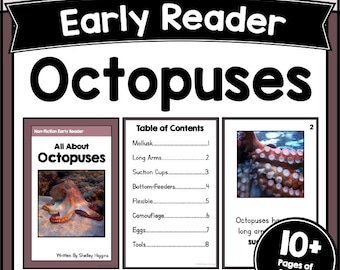 OCTOPUS Reading Comprehension Worksheets Early Reader Practices Activity for K-2 Short Stories with Questions Fluency Passage Pdf Printable