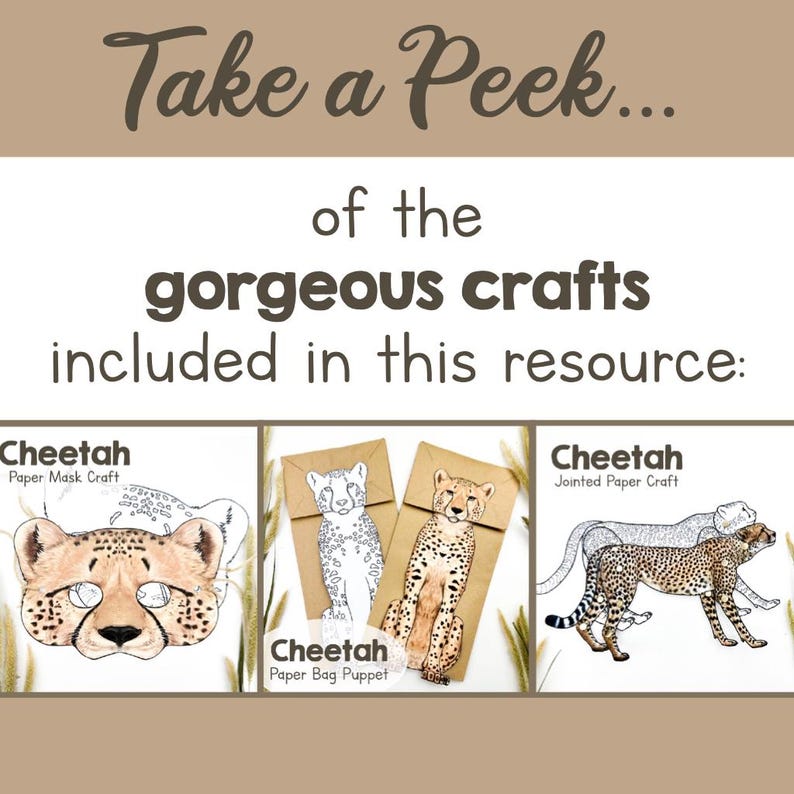 CHEETAS Animal Adaptation Science Study Unit Early Writing Learning ...