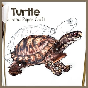 Articulated Paper Turtle Craft Kit: Printable Animal Model (PDF Download