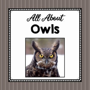 All About Owls- Animal Science Unit