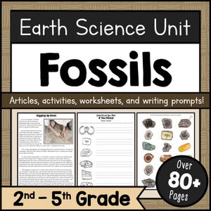 Fossilvetenskapsstudie i PDF-format, paleontologi, läroplan, arbetsblad och STEM-aktiviteter, hemundervisning, klassrum, läsresurser för årskurs 2-5