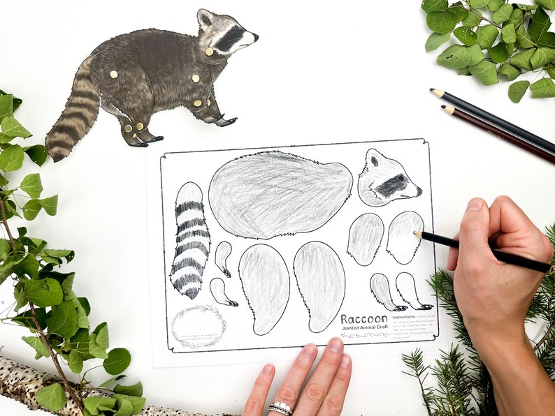 Articulated Raccoon Craft Template | Jointed Animal Puppet | Printable ...