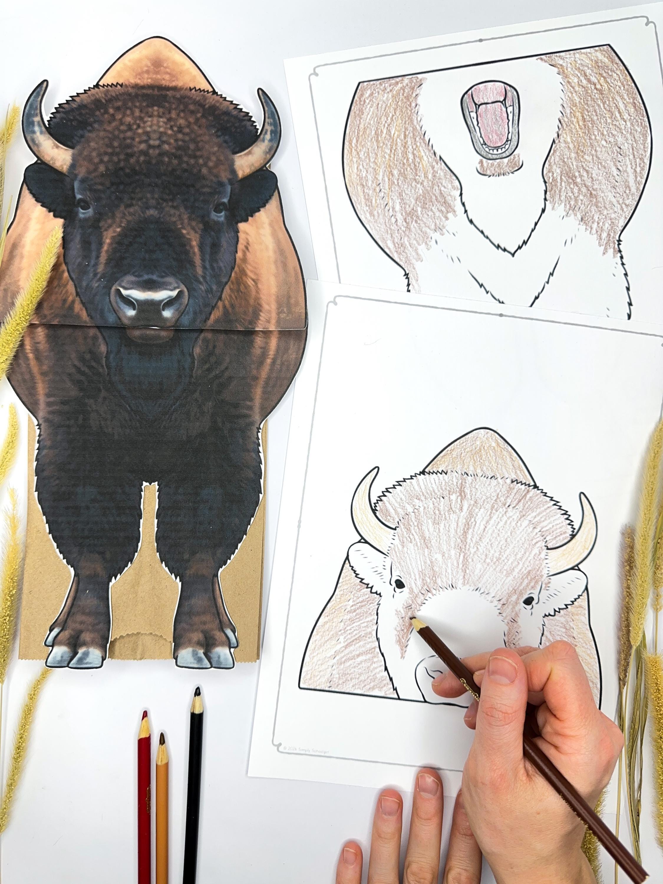 Bison Puppet Bison Puppet- Bison | Paper Bag Puppet | Printable Craft | Bison ...