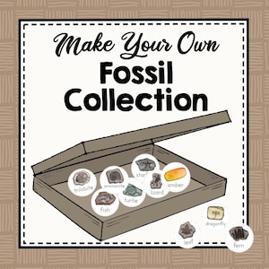 Paper Fossil Collection | Make Your Own Fossil Collection | Kid&#39;s Science Craft