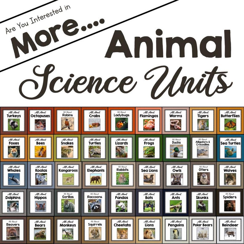 Printable RABBIT Animal Science Unit Template Kit | DIY Articulated ...