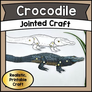 Peut inclure: Une maquette de crocodile imprimable avec le texte "Crocodile Jointed Craft". L'image montre un contour blanc et un crocodile vert foncé et noir avec des sections articulées. Le texte "Realistic, Printable Craft" est également inclus.