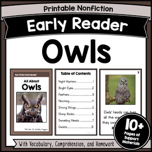 OWLS Fluency in Reading Comprehension Worksheets Kindergarten 1st-2nd Grade Beginning Reader Books Decodable Passage Activities Printables