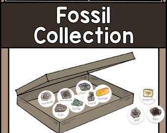 Actividad imprimible de recolección de fósiles, hoja de trabajo de paleontología, recortes de dinosaurios para niños, actividades de manualidades para el aula de geología y ciencias de la tierra (PDF)
