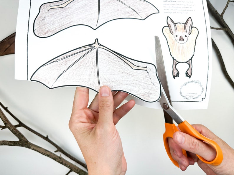 Printable Jointed BAT Puppet Craft Template Kit | DIY Articulated ...