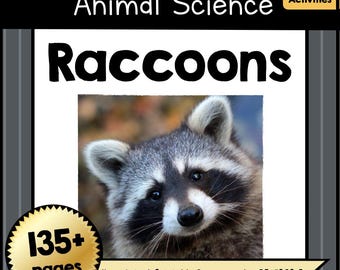Unidad didáctica imprimible sobre ciencias animales: el mapache / PDF de aprendizaje para hacer en casa / Paquete de estudio para niños que educan en casa y actividades imprimibles para el aula