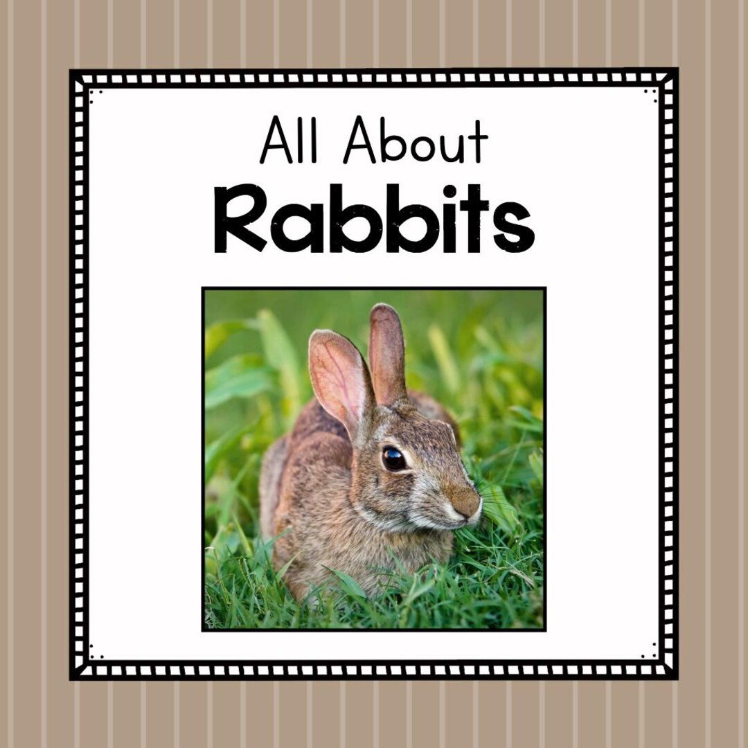 All About Rabbits- Animal Science Unit