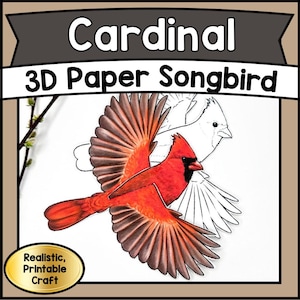 May include: A vibrant red cardinal bird with outstretched wings, set against a white background with a sketched outline of another bird. The text reads "Cardinal 3D Paper Songbird" and "Realistic, Printable Craft".