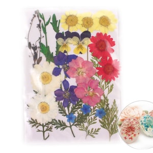 23pcs Chrysanthème Mélange Naturel Pressé de Fleurs Séchées de Feuilles de Plantes Sèches Époxy Résine UV Pendentif Nail Art Bijoux Scrapboo