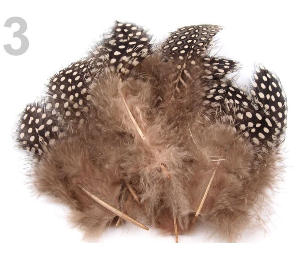 1bag Decorative Hen Feathers Length 813 Cm And Featherlets Etsy