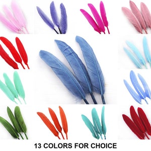 6pcs d'Oca Piume Orecchini pendenti Gioielli Costume Dreamcatcher 10-15cm