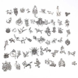 PLABBDPL Schmuck Anhänger set, 100pcs Gemischte Charms Silber,  Schmuckanhänger zum Basteln,Ohrringe Selber Machen Perlen, Armband ,Diy  Mädchen : : Küche, Haushalt & Wohnen