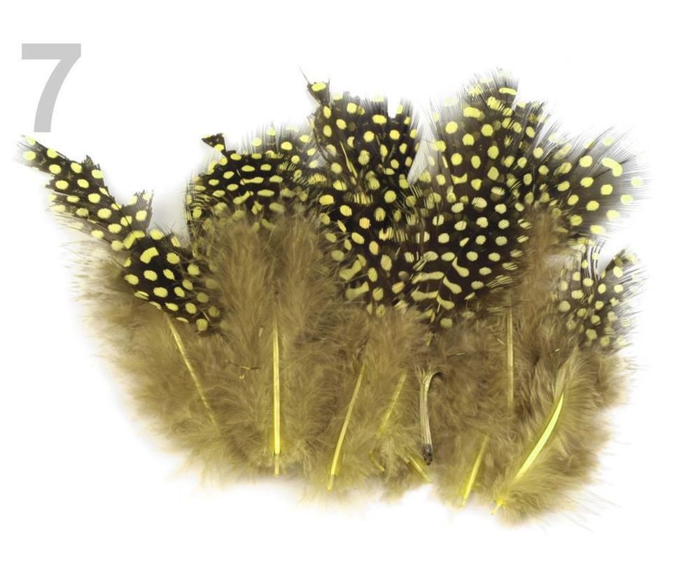 1bag Decorative Hen Feathers Length 813 Cm And Featherlets Etsy