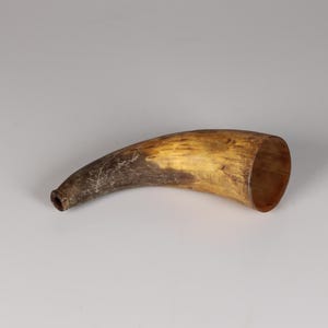 May include: A curved, hollow horn with a light brown and dark brown color gradient. The horn has a smooth, polished appearance and a small opening at the narrow end. The wider end is open, revealing the interior.