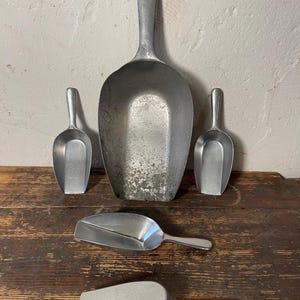 Peut inclure: Cinq louches en métal argenté de tailles différentes. Les louches sont sur une surface en bois.