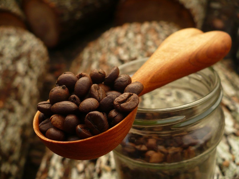 hand carved coffee scoop wooden coffee scoop Coffee scoop hand made coffee spoon HEART model of coffeee spoon plum wood coffee spoon
