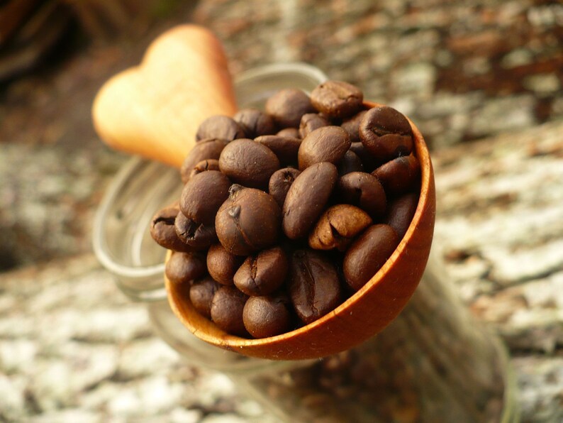 hand carved coffee scoop wooden coffee scoop Coffee scoop hand made coffee spoon HEART model of coffeee spoon plum wood coffee spoon