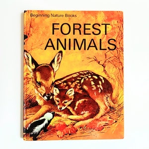 Vintage Kinderbuch 1968 - Waldtiere - Beginning Nature Books - von Martin Andrews - illustriert von Nemo