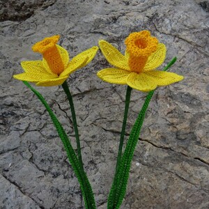 Daffodil crochet pattern, spring flower, spring crochet pattern imagem 7