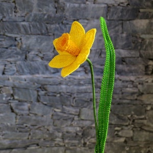 Daffodil crochet pattern, spring flower, spring crochet pattern imagem 8