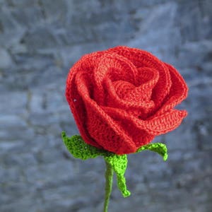 Crochet rose pattern valentine half open long stem rose image 2