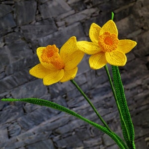 Daffodil crochet pattern, spring flower, spring crochet pattern imagem 6