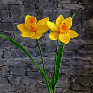 Daffodil crochet pattern, spring flower, spring crochet pattern imagem 2