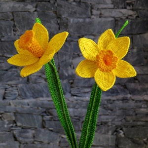 Daffodil crochet pattern, spring flower, spring crochet pattern imagem 3