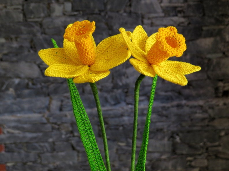 Daffodil crochet pattern, spring flower, spring crochet pattern imagem 1