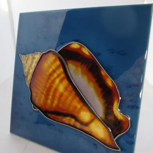 May include: A ceramic tile with a hand-painted seashell design. The shell is brown, orange, and yellow with a blue background.