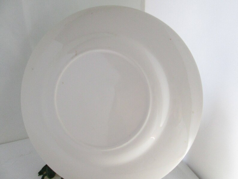 Vintage Cumberland Falls State Park KY Souvenir Plate Kentucky Souvenir Attraction plate souvenir plate of KY state park plate falls plate