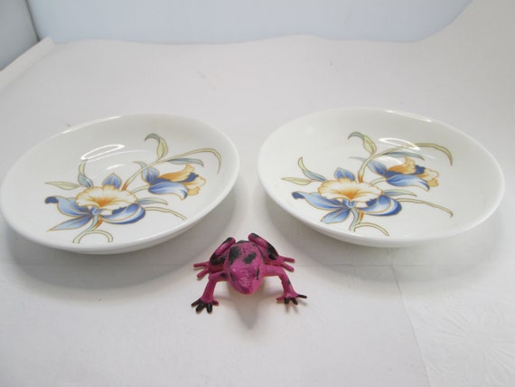Vintage Pair of Royal Aynsley Just Orchids Round … - image 5