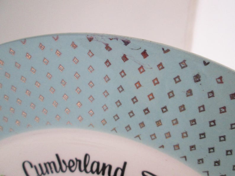 Vintage Cumberland Falls State Park KY Souvenir Plate Kentucky Souvenir Attraction plate souvenir plate of KY state park plate falls plate