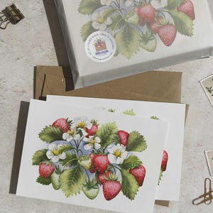 Juego de 6 tarjetas y sobres con diseño de flores de fresa