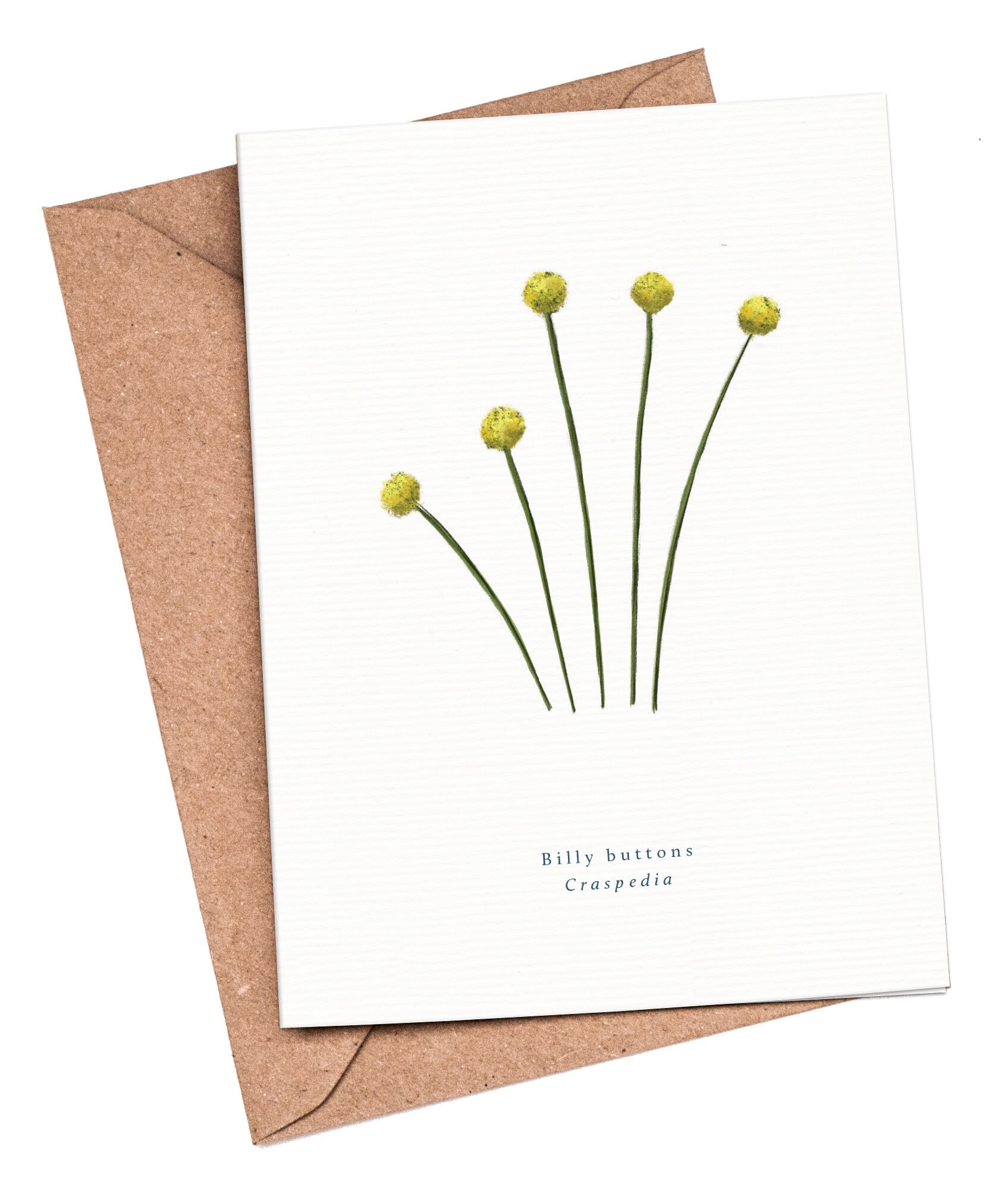 Australian Flowers Note Cards Set Hand Painted Folded Blank Etsy UK