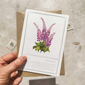 Cartes vierges pliées florales botaniques et enveloppes 8 au choix