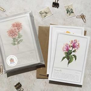 May include: Blank floral cards and envelopes featuring botanical illustrations of dahlias and honeysuckle. The cards are packaged in a clear cellophane sleeve, with additional cards and brown envelopes visible. Decorative paper clips and stamps are scattered around.